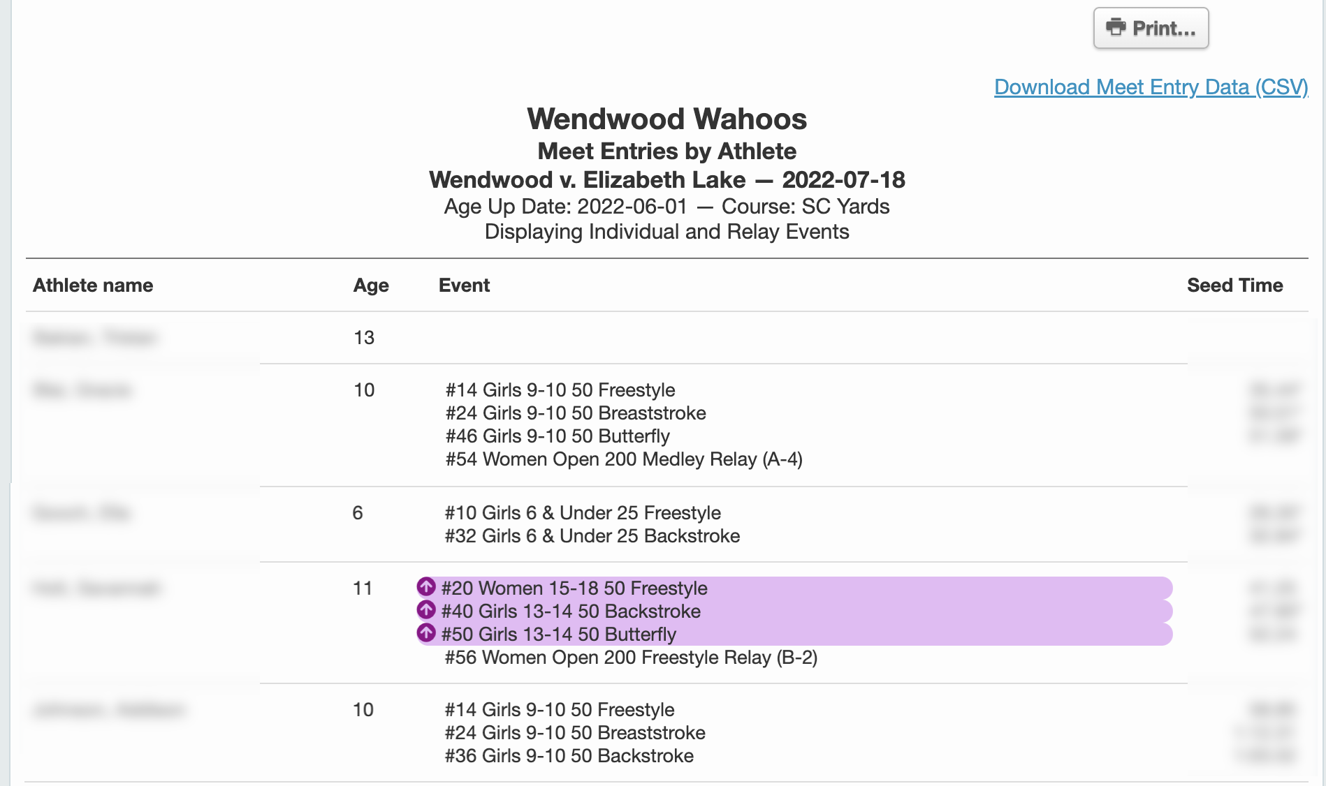 Entries by Athlete Report
