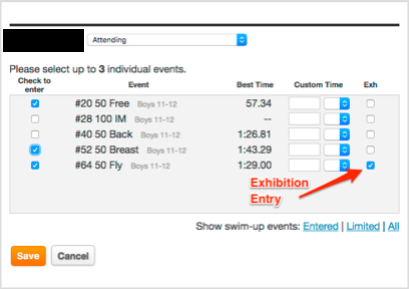 Exhibition Entry Example